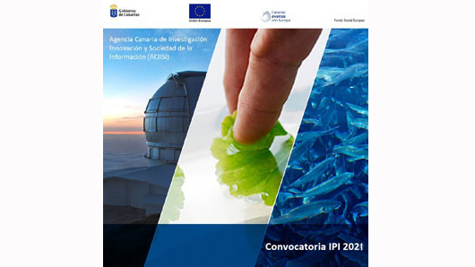 Subvenciones para la incorporación de personal innovador al tejido productivo (IPI), ejercicio 2021