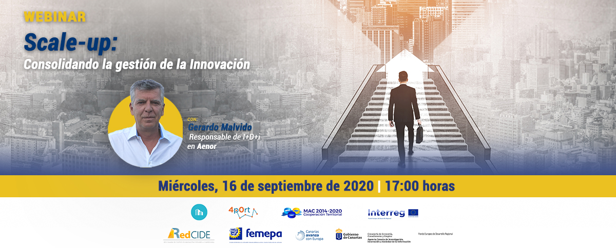 Femepa lanza un nuevo seminario web gratuito sobre “Scale-up: consolidando la gestión de la Innovación”