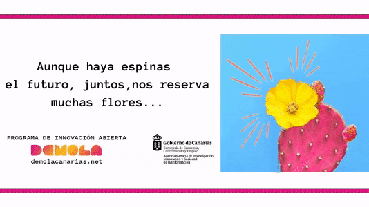 ¡Comienza la 11ª EDICIÓN de DEMOLA Canarias! Se buscan nuevos retos